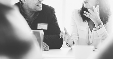 System integration, IT consulting
